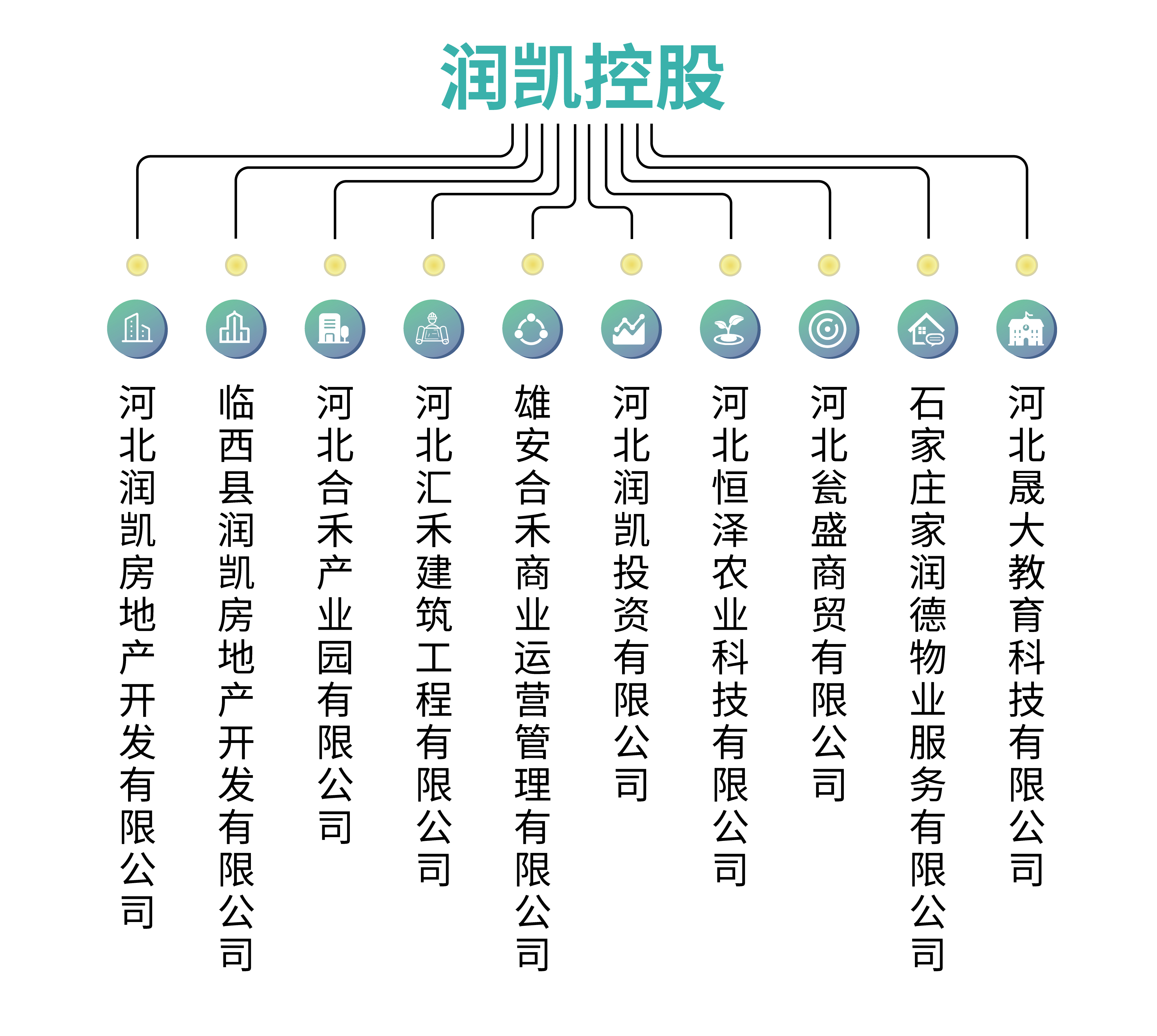 润凯组织架构.jpg